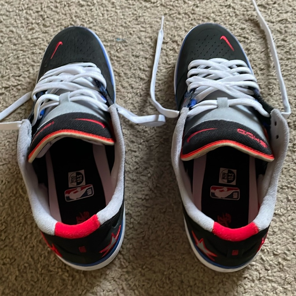 Nike skateboarding Ishod Wair pro model shoes